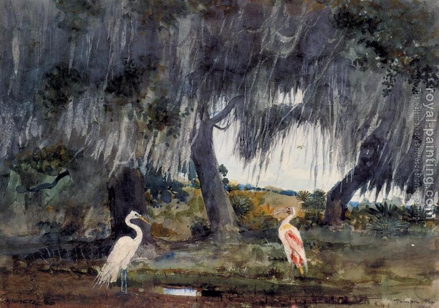 Winslow Homer : At Tampa